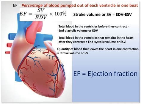 ef calculation echo.